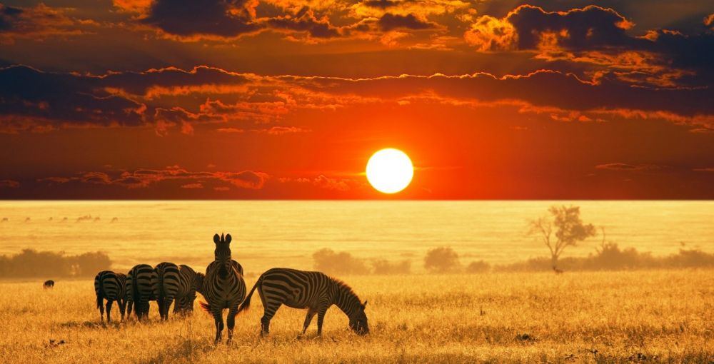 Safari Holidays - Sunset