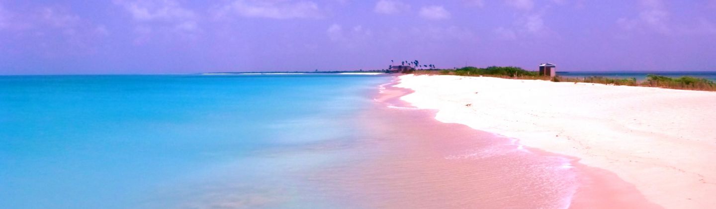 Antigua Holidays - stretch of perfect beach
