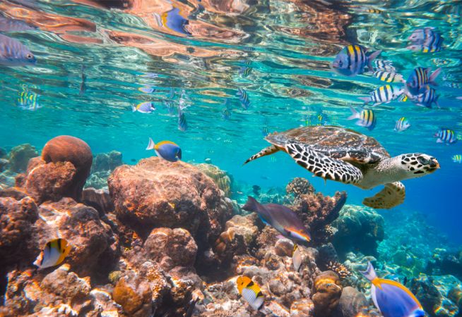 Luxury Holidays to Maldives with Classic Resorts