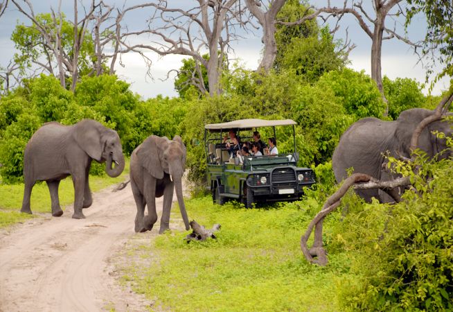 Safari Holidays with Classic Resorts