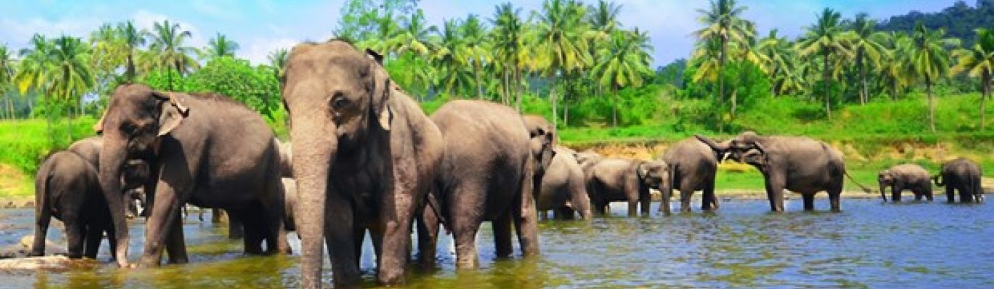 Luxury Holidays to Sri Lanka with Classic Resorts