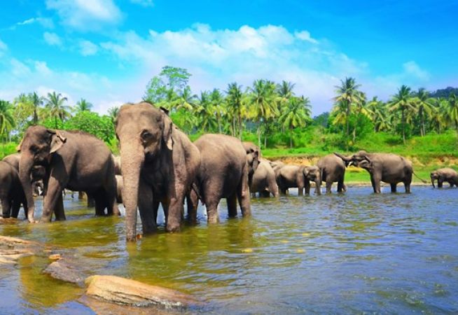 Luxury Holidays to Sri Lanka with Classic Resorts