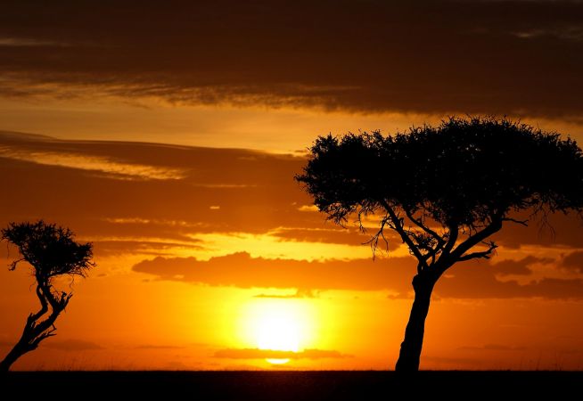 Safari Holidays with Classic Resorts
