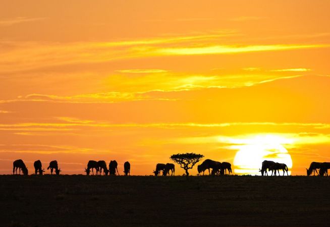 Hotels in Tanzania with Classic Resorts