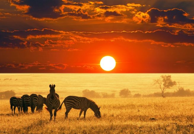 Luxury Holidays to Tanzania with Classic Resorts