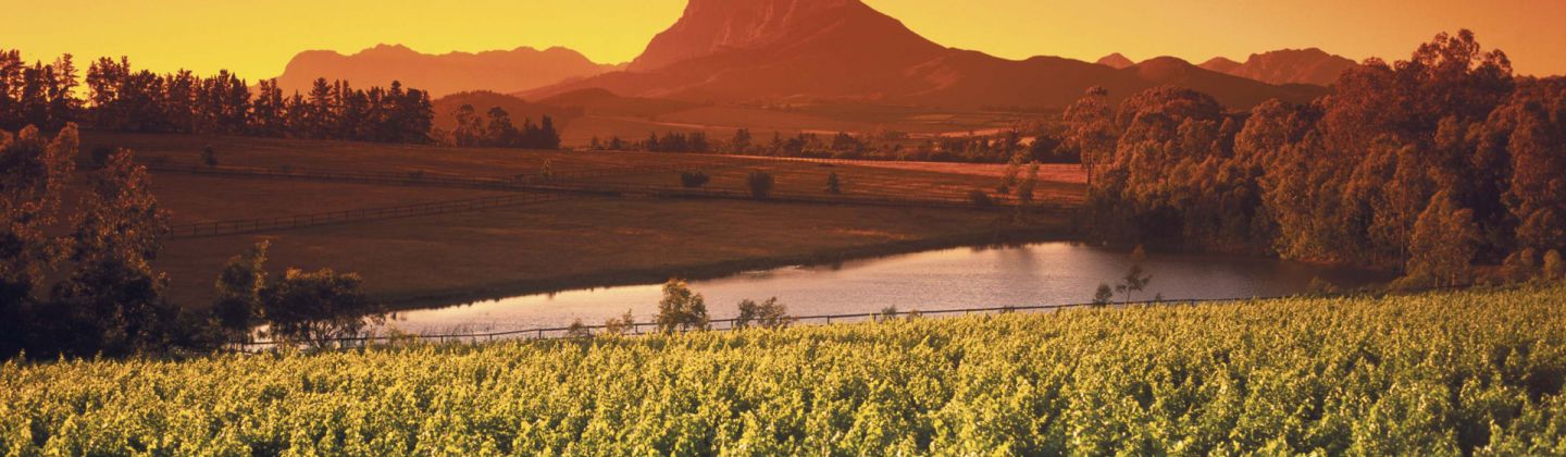 Winelands Holidays - Landscape